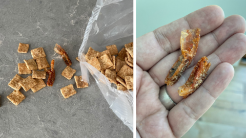 Topanga’s Husband Found Shrimp In His Cinnamon Toast Crunch Cereal Box and The Internet Is Going Crazy Over It