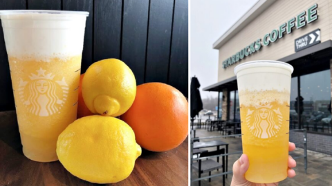 This Orange Lemon Smoothie From Starbucks Will Give You All The Tropical Citrus Vibes