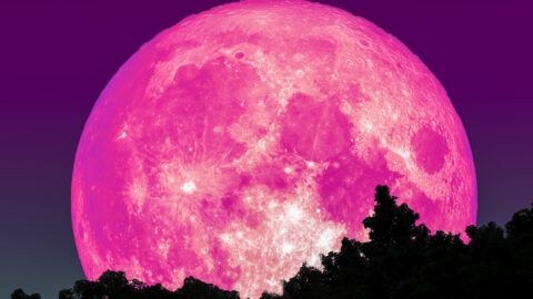 You’ll Be Able To See The Pink Supermoon In April, Here’s How!