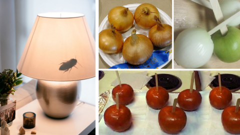 Need A Good Laugh? Here’s The Best April Fool’s Pranks For Adults