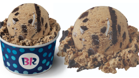 Baskin-Robbins Released An OREO ‘n Cold Brew Ice Cream Flavor and I’m Stocking Up
