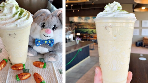 Don’t Worry, Be Hoppy with this Bunny Juice Frappuccino from Starbucks