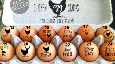 Every Chicken Owner Needs These Chicken Egg Stamps Right Now