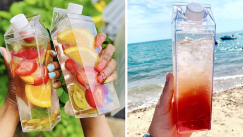 Everyone Is Obsessed With These Clear Milk Carton Water Bottles and I Need One Now