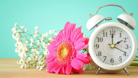 This Weekend Is Daylight Savings Time. Here’s When To Change Your Clocks.