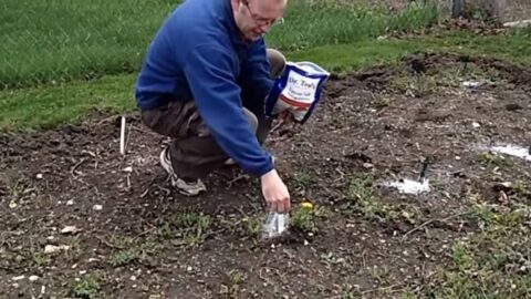 People Are Putting Epsom Salt In Their Gardens and It is Pure Genius