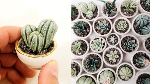 You Can Get Miniature Ceramic Cactus and Succulent Plants That Are So Tiny And Cute, I Need Them All!