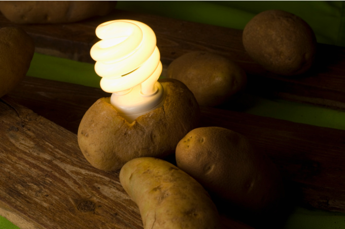 Need Light? Boiled Potatoes Can Supply Enough Power To Light A Room For 40 Days
