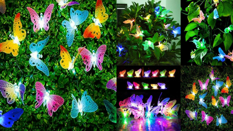 You Can Get Solar Powered Butterfly String Lights To Add Some Magic To Your Nights
