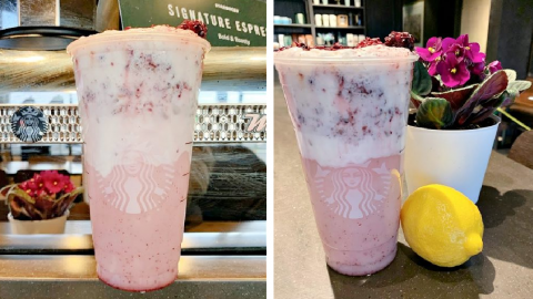 This Starbucks Blooming Violet Refresher Will Get You In The Mood for Spring