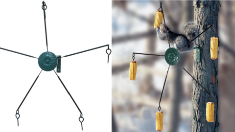 Bored At Home? Put This Squirrel Feeder In Your Yard And You’ll Be Entertained For Hours
