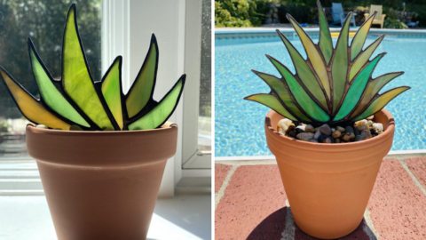 You Can Get Stained Glass Agave Planters That Illuminates When They Are Hit By The Sun
