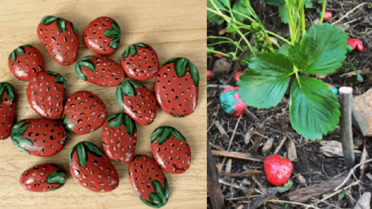 Apparently Painting Rocks To Look Like Strawberries Will Keep Critters From Eating Your Berry Plants
