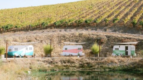You Can Drink Wine In Vintage Campers In A Beautiful Vineyard And I Am Packing My Bags