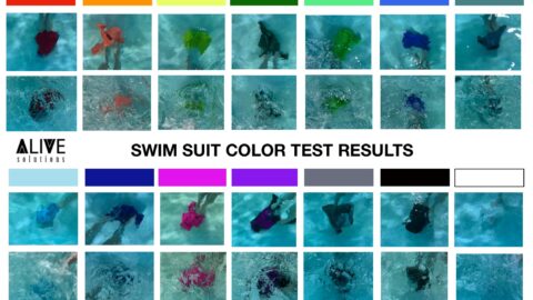 This Charts Shows You The Safest Swimsuit Colors To Pick To Prevent Drowning