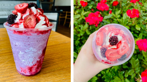 You Can Get A Berry Bliss Frappuccino From Starbucks To Give You All The Spring Vibes