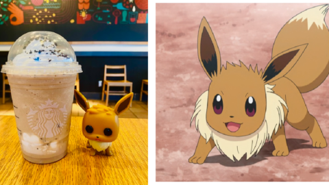 You Can Get An Eevee Frappuccino From Starbucks That Will Evolve Your Day