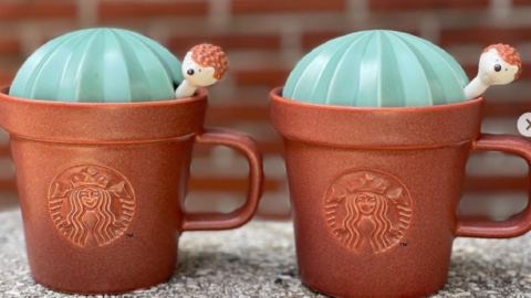 Starbucks Is Selling A Cactus Mug Complete With A Hedgehog Stirrer and It’s Adorable