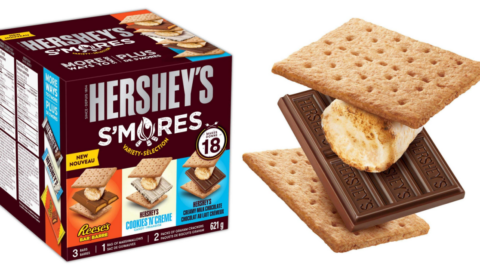 Hershey’s Has A New S’Mores Variety Kit And I Call Dibs On The Reese’s!