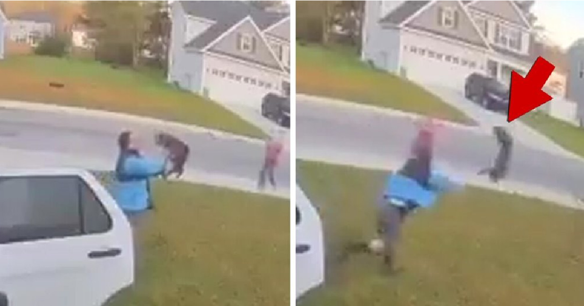 A Rabid Bobcat Attacked A Man And Woman And It Was All Captured On Video