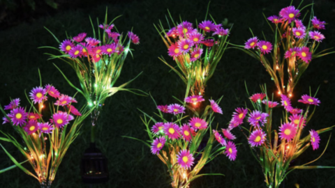 You Can Get Solar Powered Daises To Light Up Your Garden This Summer