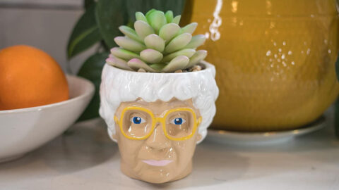 This Sophia Succulent Planter Is For Die-Hard Golden Girls Fans