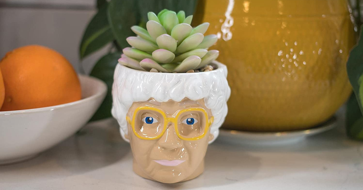 This Sophia Succulent Planter Is For Die-Hard Golden Girls Fans