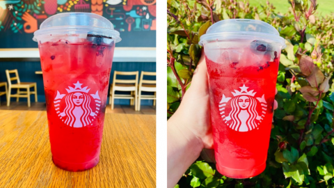 You Can Get A Tropical Berry Lemonade From Starbucks To Give You All The Spring Vibes