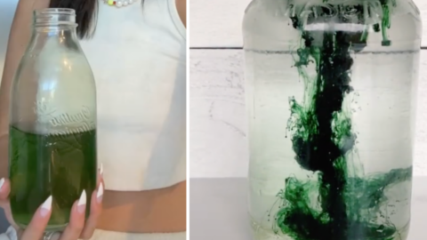 “Chlorophyll Water” Is The New Hot Drink Trend and I Want To Try It