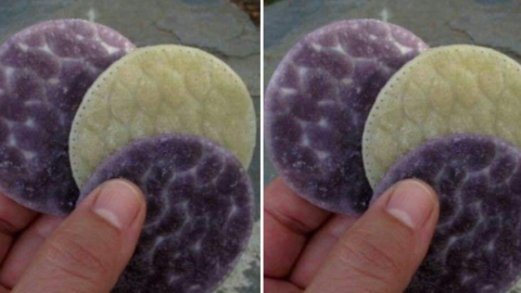 People Are Using Cotton Pads To Make Instant Campfire Starters. Here’s How To Make Them