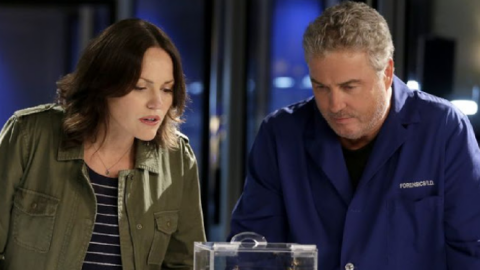 A Sequel To CSI Is Officially Coming And I Can’t Wait