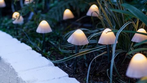 You Can Get Solar Powered Mushrooms To Light Up The Night