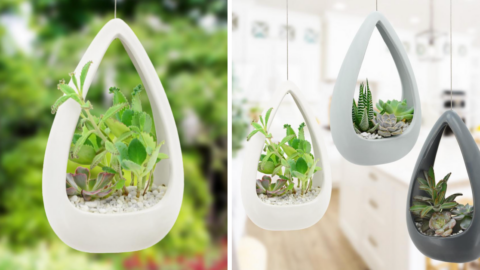 Home Depot Is Selling The Cutest Hanging Ceramic Planters To Place Your Succulents In