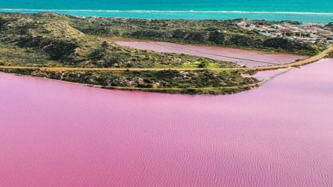 This Pink Lagoon Changes Colors During The Summer And It Is Breathtaking