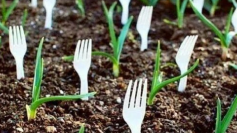 People Are Planting Plastic Forks In Their Gardens. Here’s Why.