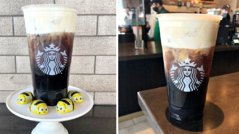 This Starbucks Honey Bee Cold Brew “Bee”-longs in Your Next Starbucks Order!