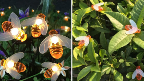 You Can Get Solar Powered Honeybee String Lights To Decorate Any Outdoor Space