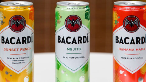 Bacardi Released New Flavored Canned Rum Cocktails And I Need Them All