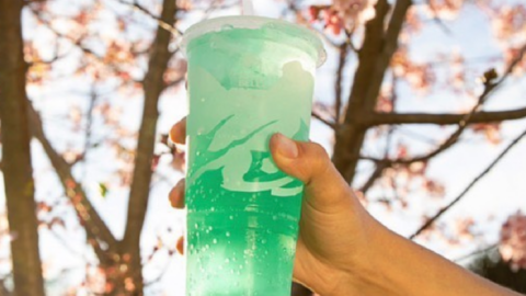 Taco Bell Is Releasing A New Mountain Dew Baja Blast Colada Freeze That Will Take You On A Vacation