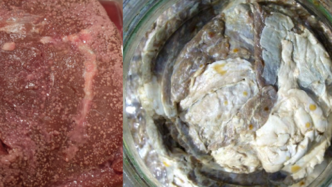 People Are Eating Rotten Decomposing Raw Meat To ‘Get High’ And I Think I’m Gonna Hurl