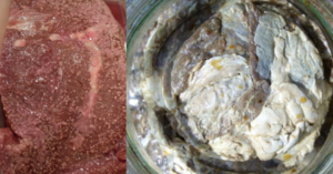 People Are Eating Rotten Decomposing Raw Meat To ‘Get High’ And I Think I’m Gonna Hurl