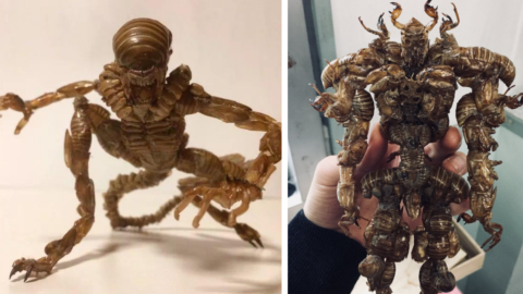 People Are Using The Exoskeleton Of Cicadas To Create Alien-Like Sculptures and I Have So Many Questions