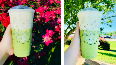You Can Get A Springtime Tea At Starbucks To Give You All The Spring Vibes