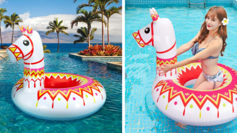 You Can Get A Llama Pool Float And I Have To Have It Now