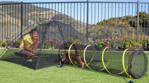 You Can Get A Tent With A Tunnel So That Your Cats Can Play Outside While Staying Safe