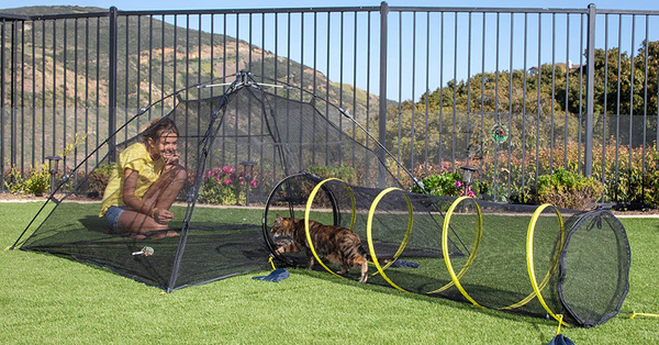 You Can Get A Tent With A Tunnel So That Your Cats Can Play Outside While Staying Safe