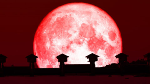 The Super Blood Moon And The Total Lunar Eclipse Are Happening This Month. Here’s How To Watch It.