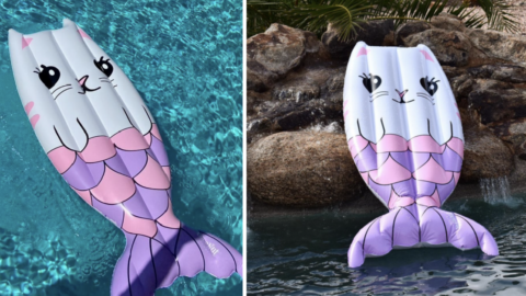 Amazon Is Selling A Mermaid Cat Pool Float and It Is Purrfect