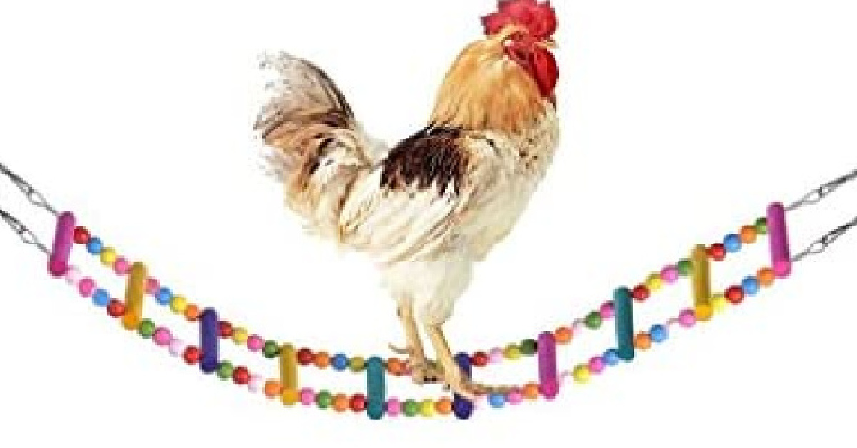 You Can Get A Tiny Chicken Ladder For Your Chicken Coop