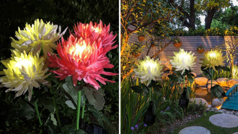 People Are Going Crazy Over These Solar Powered Flowers You Can Put In Your Yard